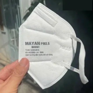 KHẨU TRANG MAYAN PM2.5 BH9501 CÓ VAN (2 cái)