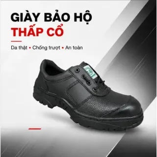Giày bảo hộ lao động thấp cổ Dragon 2B